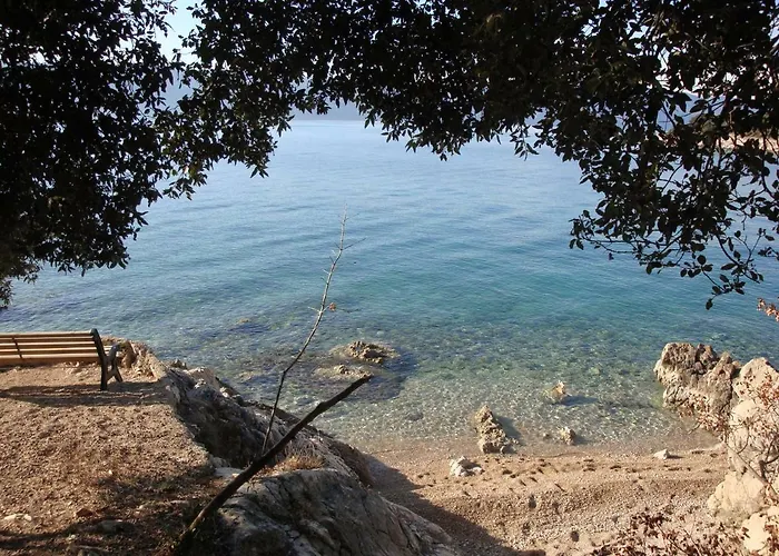 Olea Pinezići
