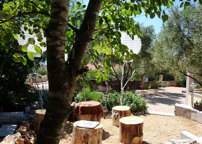 Olea *