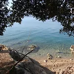 Olea Pinezići