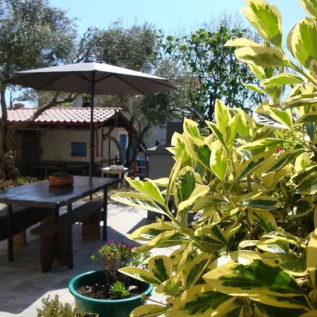 Apartment Olea *