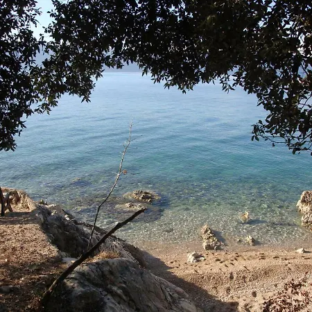 Olea Pinezići