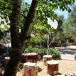 Olea *