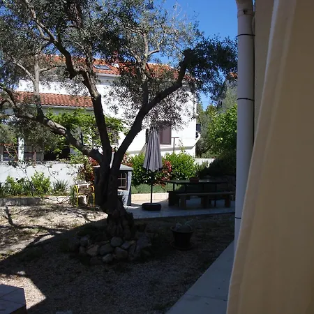 Apartman Olea Pinezici (Krk)